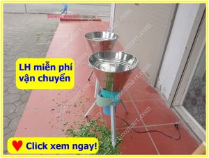 Máy xắt rau lục bình xắt bèo tây cho gà