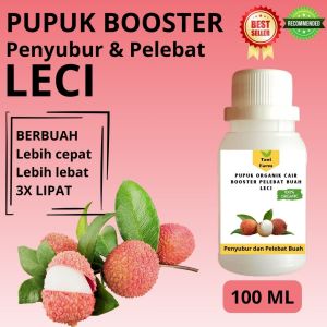 Pupuk Leci Cepat Berbuah / Pupuk Pelebat Buah Leci / Pupuk Booster Leci Cair