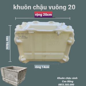 khuôn đúc chậu cảnh vuông 20  khuôn chậu bonsai mini