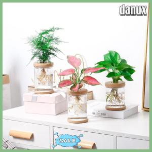 danux Transparent Flower Pot Hydroponic Automatic Water Absorption Plastic Flower Pot