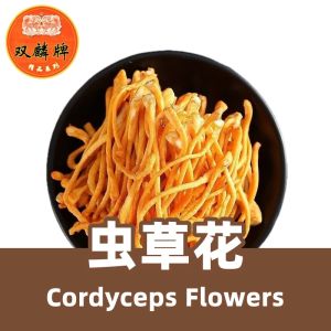 Kirin Selected Cordyceps Flower 150g 双麟牌 虫草花 精选正品特级无硫北金蛹虫草 150克 煲汤材料 Soup package