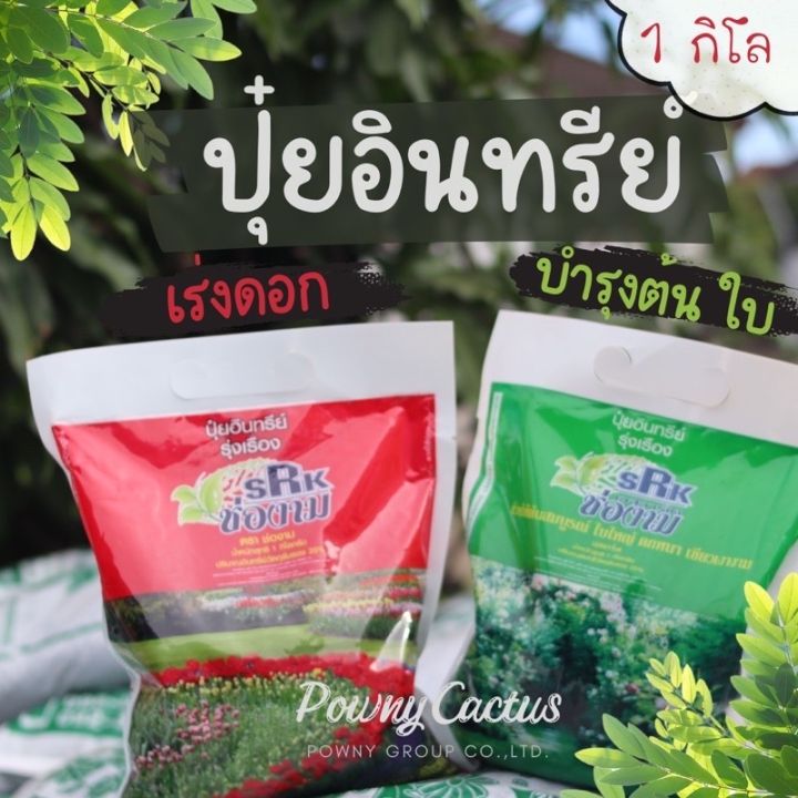 ปุ๋ยอินทรีย์อัดเม็ด ช่องาม ชูช่อ เร่งดอก เร่งราก บำรุงต้น