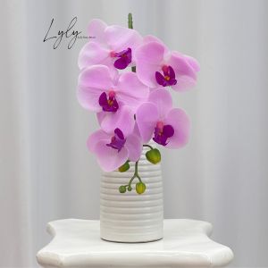 COMBO 5-10 Cành Hoa Lan cánh cao su non 5 bông thân đốm Giống Thật. Hoa Lụa Decor