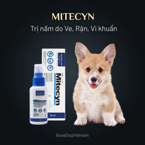 Trị nấm ve rận ghẻ chó mèo Alkin Mitecyn - Mọi dòng chó Poodle Pom Pug Corgi v.v. | BossDog