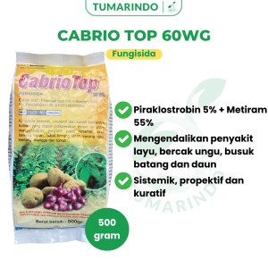 Cabrio Top 60wg 500 Gram Fungisida Mengendalikan Bercak Ungu Hawar Daun