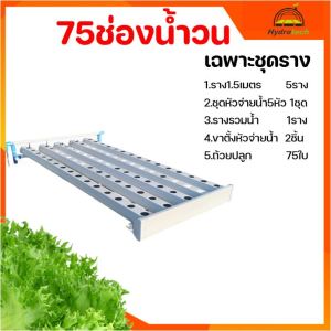 [พร้อมส่ง]ชุดปลูกผักไฮโดรโปนิกส์ รุ่น75ช่องน้ำวน