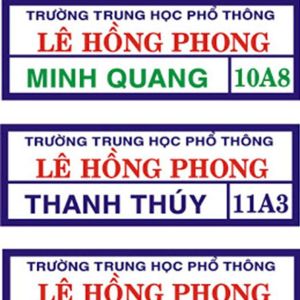 Logo Stiker trường học-công ty-gia đình-Hình in ủi áo tại nhà bằng bàn ủi rất đẹp [IN LOGO BẢNG TÊN HỌC SINH THEO YÊU CẦU INBOX SHOP]công nghệ in pet chuyển nhiệt đẹp