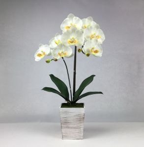 OrientalFineArt กระถางกล้วยไม้ประดิษฐ์ กล้วยไม้สีขาวจัดในกระถางไม้สี่เหลี่ยม กระถางดอกไม้ประดิษฐ์ตกแต่งบ้าน