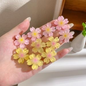 10 Pack Hair Accessories Kids Girl Cute Flower Fruit Hair Clip Set