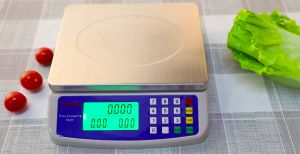 Digital Scale Weight Rechargeable Digital Price Computing Scale 40kg Calorie Deficit Weighing Scale