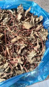 Cây Lá Hà Thủ Ô Khô / 2kg