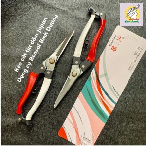 [CHÍNH HÃNG] COMBO 2 KÉO CẮT TỈA JAPAN - SK5 CẮT TỈA CÂY CẢNH BONSAI