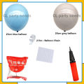 frozen balloon set/Elsa theme balloon set/birthday party decorations. 