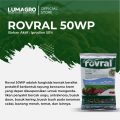 Fungisida Rovral 50WP 100gr Iprodion Pencegah Mboler Bawang Merah. 