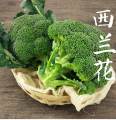 Fresh Organic Broccoli Seeds for Planting (300 Seed) biji benih brokoli 西兰花种子 High Yield Legit Broccoli Sprouts Seeds F1 Green Cauliflower Seed Microgreens Seeds Vegetables Seeds for Gardening Balcony Potted Live Vegetable Plants Veggie Seeds benih sayur. 