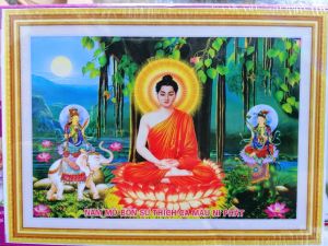 Tranh đính đá Phật Thích Ca ngồi gốc bồ đề (về tự đính) LV493