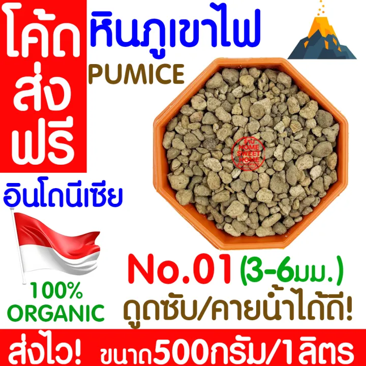 7 อันดับหินภูเขาไฟสำหรับปลูกต้นไม้ ยี่ห้อไหนดี? อัปเดตปี 2025