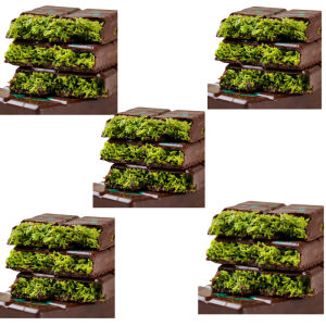 ขายร้อน🔥ช็อกโกแลตดูไบยอดนิยม/ช็อคโกแลตที่ทำด้วยมือ/ช็อคโกแลตโกโก้สอดไส้พันไหม/ขนมปังแยมสอดไส้ช็อกโกแลต/แยมช็อกโกแลต