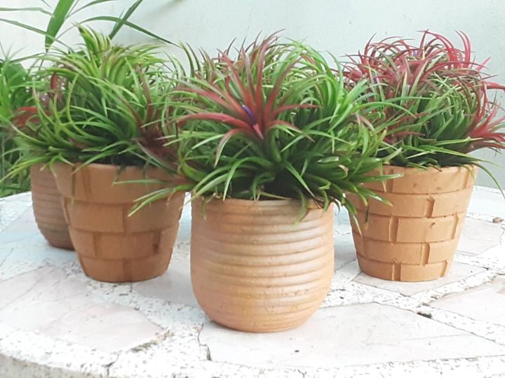 กระถางดินเผา 4 นิ้ว ระบายน้ำดีเยี่ยม