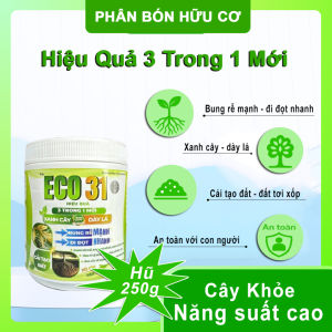 Phân Bón ECO31 – Bung Rễ Mạnh Đi Đọt Nhanh Xanh Cây Dày Lá – Hũ 500g