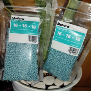 NPK 16-16-16 / ISI 1KG/ COCOK UNTUK SEMUA JENIS TANAMAN