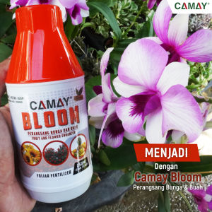 [READY STOK] PATIAN BAJA BLOOM & GROWTH CAMAY PENGGALAK AKAR BUNGA DAN BUAH-FERTILIZER CONCENTRATE FOR ROOTS FLOWERS AND FRUITS
