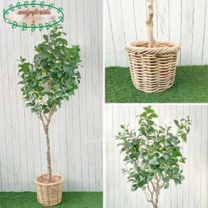 Pohon Artificial Pohon Hias Kacang T130 & T170 Latex Cover Rotan Bulat Dekorasi Apartment