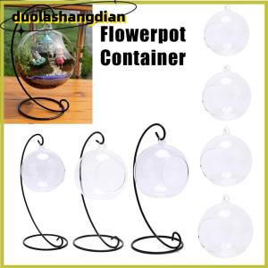 [Duola] ล้างแก้วลูกแจกันภูมิทัศน์ Terrarium แขวนหม้อกระถาง