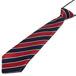 Pre-Tied Elastic Necktie Rainbow Stripes Leopard Boys Kids Silky Ties Costume