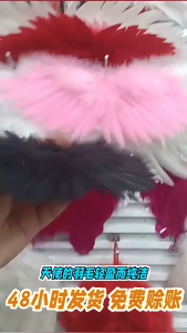 Functioanl Feathered Wing Childrens Theatrical Shows Charm for Halloween Stage Performances and Birthday Parties