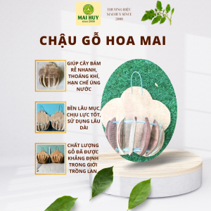 CHẬU GỖ HÌNH HOA MAI CAO CẤP – GỖ VÚ SỮA / BALAS / CĂM XE - MAI HUY SINCE 2008