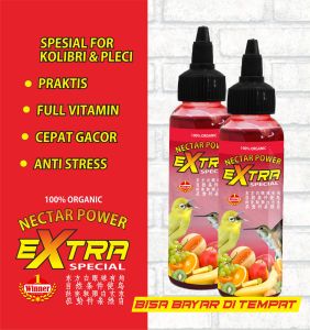 NEKTAR KOLIBRI SOGON PLECI HARIAN DAN LOMBA EXTRA POWER 100ML