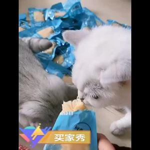 SEE Chicken Breast for Cat Isi Ayam Kucing MASTI Chicken Breast Makanan Kucing Ayam MASTI 雞胸肉 宠物 Cat Food Meat 鸡胸肉