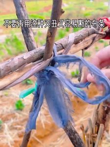 200M Garden Tie Wire With Cutter Twist Tie For Garden Vegetable Plants With Cable Tires