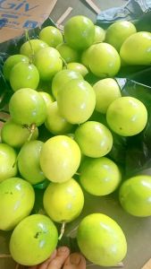 Buah markisa segar per 2 kg