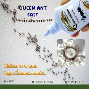 เหยื่อกำจัดมด Queen ant Bait กำจัดมด ฆ่ามด อาหารมด เจลกำจัดมด เจลฆ่ามด เจลมด ยามด มดเหม็น มดนำ้ตาล มดดำ ตายยกรัง มด(ขนาดบรรจุ 30 กรัม)