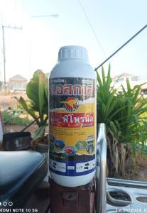 ฟิโฟรนิล แอสกาส (1ลิตร) ฟิโพรนิล5%ยากำจัดปลวกมด ด้วงอ้อย ด้วงในดิน เพลียหอย หนอน