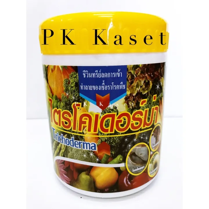 5 อันดับ 'ไตรโคเดอร์ม่า' ยี่ห้อไหนดี? จุลินทรีย์กำจัดเชื้อราพืช ปลอดสารพิษ อัปเดตปี 2025