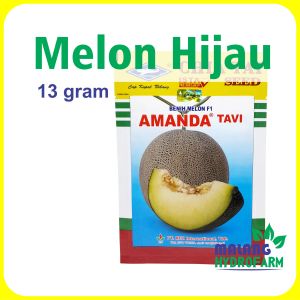Benih Melon Hijau Amanda Tavi 13 gram / 600 biji Cap Kapal Terbang F1 dataran rendah musim kemarau buah bibit biji manis segar action 434 hydroponik hidroponik