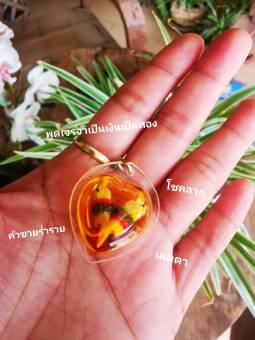 รูปจากผู้ขายบน Lazada: สาลิกาลิ้นทอง วัดดอยคำ เชียงใหม่ สาริกาลิ้นทองปลุกเสกแล้ว ของแท้ การงานการเงินเจรจาค้าขายสำเร็จทุกประการ ตั้งราคา ฿199 ขายแล้ว 5 ชิ้น