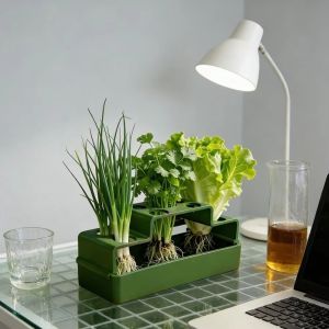 JIMEIXIAN01 Ventilated Lettuce Planting Pot Multi-use Ease to Clean Chives Seedling Tray Durable Plastic Vegetable Growing Plate Repeated Growth