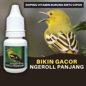 Doping Penggacor Vitamin Burung Sirtu Cipoh Premium Biar Gacor Ngeroll Durasi Panjang