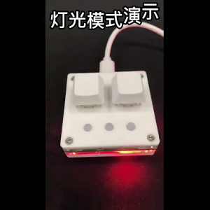 Customizable 2 Key Mini Keyboard Switches Optional with Color Light TypeC Connection Enhances Productivity