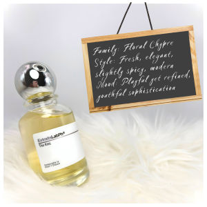 CHNL Chance Inspired Perfume by Extraits Lab PH Extrait de Parfum 35% Fragrance Oil 55ml with Paper Bag