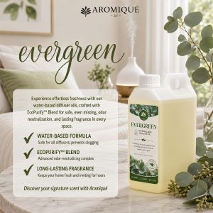 Aromique EVERGREEN Water-Soluble Essential Oil for Diffusers Fresh Forest Relaxation