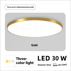 Ultra-thin Waterproof LED Ceiling Lights Indoor Corrdior Living Room Balcony Kitchen Bathroom Light Aisle Lighting Ceiling Lamp