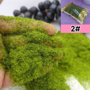 ⭐【LazTop Seller】35g Artificial Green Plants Eternal Life Moss DIY Crafts Grass Garden Home Room Decor Mini Landscape Fake Grass ZJJ-Artificial-Moss