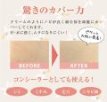 Naturactor Cover Face Concealer Foundation 20g No. 171 Long Lasting and Great Coverage. 