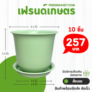 กระถาง กระถางต้นไม้ มินิมอล ถ้วยจีน+จาน ขนาด 6 นิ้ว สีเขียวพาสเทล 10 ใบ ชิ้น อัน