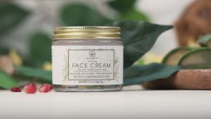 Era Organics Tea Tree Moisturizer Cream - Advanced Oily Skin Moisturizer for Acne Prone Skin - Non-Greasy Tea Tree Oil Face Cream Enhanced With Salicylic Acid Green Tea Zinc - Made in USA
